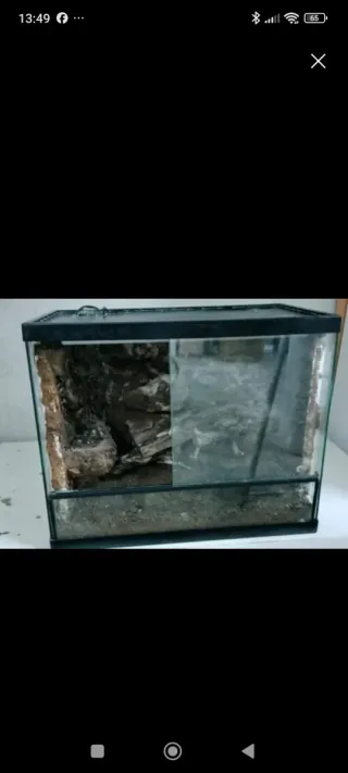 Terrario para mascotas