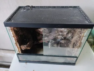 Terrario para mascotas