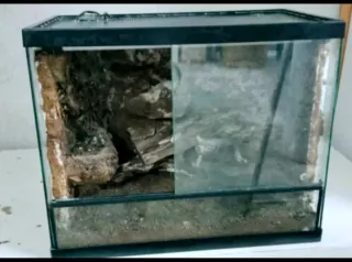 Terrario para mascotas