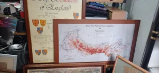 Lotti di quadri antichi e mappe