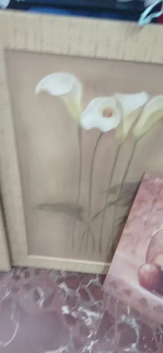 Lotti di quadri antichi e mappe