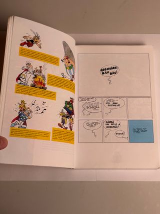 Asterix e Obelix alla conquista del mondo