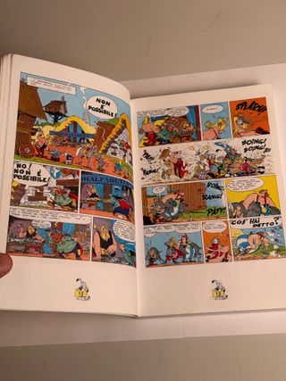 Asterix e Obelix alla conquista del mondo