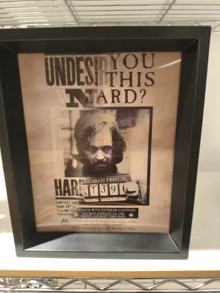 Cartel Harry Potter Indeseable N.º 1