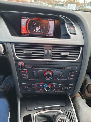 Audi A4 2010 2.0 TDI 143cv