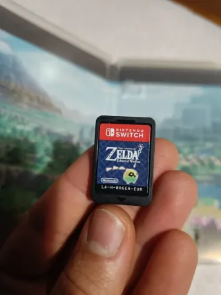 The Legend of Zelda: Echoes of Wisdom Switch
