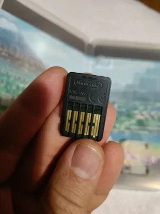 The Legend of Zelda: Echoes of Wisdom Switch