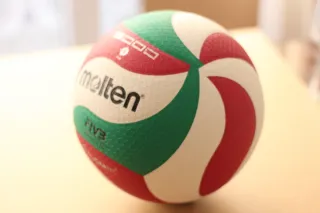 Balón de voleibol Molten FIVB