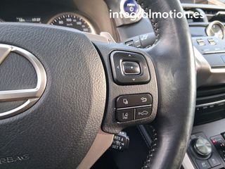 Lexus NX 2.5 300h Sport Edition 2WD