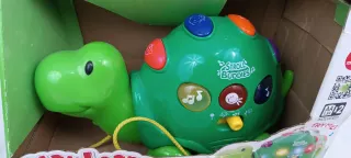 Tortuga Musical Play Learn Fun