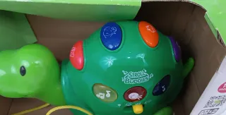 Tortuga Musical Play Learn Fun