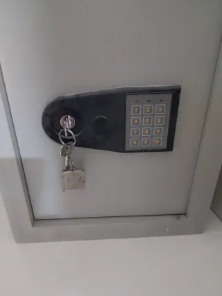 Caja Fuerte Metálica con Teclado Digital