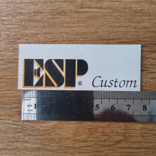 #35#Decal ESP Custom