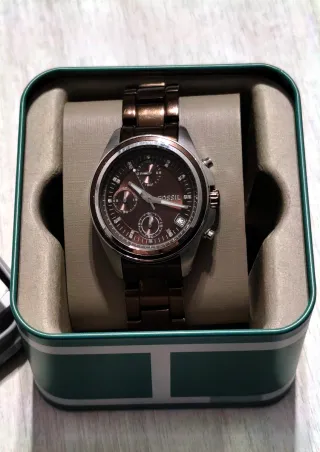 Orologio Fossil Uomo Oro Argento