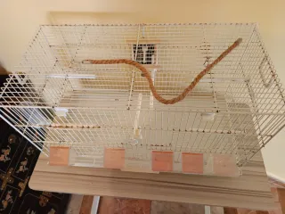 Gabbia bianca per uccelli con accessori