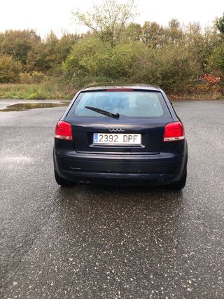 Pilotos traseros Audi A3 8P