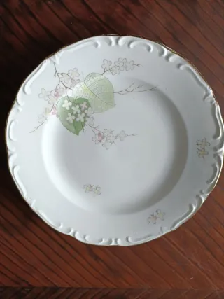 10 Piatti piani Royal China Vigo