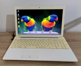 Portatile Toshiba Bianco IMPECCABILE, Batteria Nuova