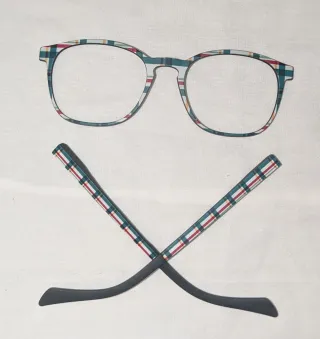 Gafas Flipo Montura y 18 Clips