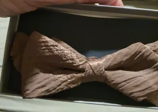 Pajarita Inalgar Marrón y Dorada