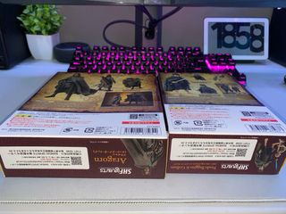 The Lord of the Rings SHFiguarts Aragorn & Frodo/G