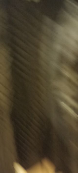 Cazadora motera entallada