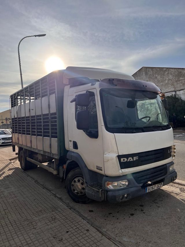 Camión ganadero DAF LF 45.220