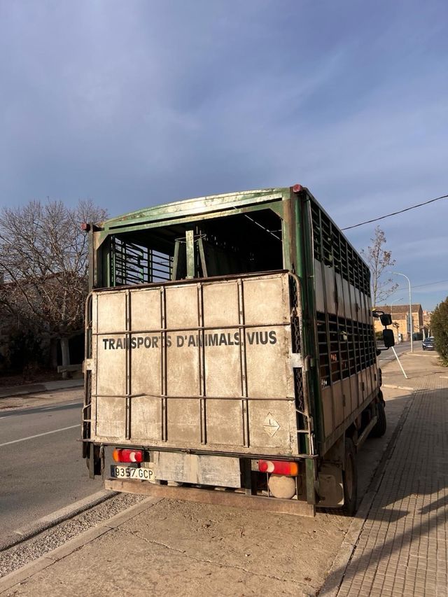 Camión ganadero DAF LF 45.220