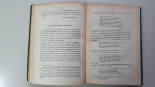 Libro Antico “Analisi Estetiche” di De Vico 1926