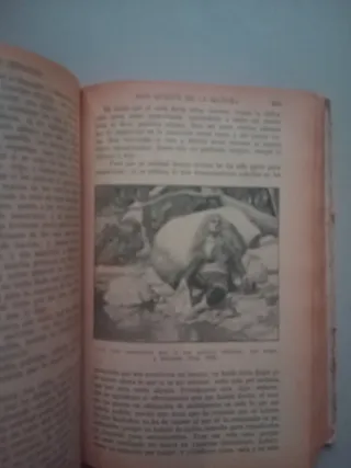 Libro El Ingenioso Hidalgo Don Quijote