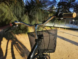 Bicicleta Urbana City 45 + Cesta + Portabultos