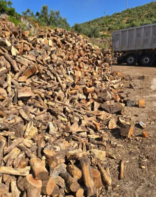 Leña de encina seca de calidad
