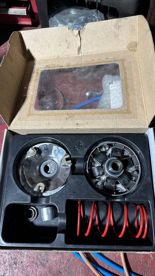 Variador Polini con engrase bulón