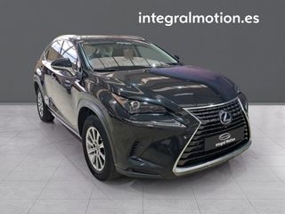Lexus NX 2.5 300h Business 2WD