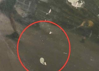 Capot nissan f510mvd2ma patrol gr (y61) 3.0 129366