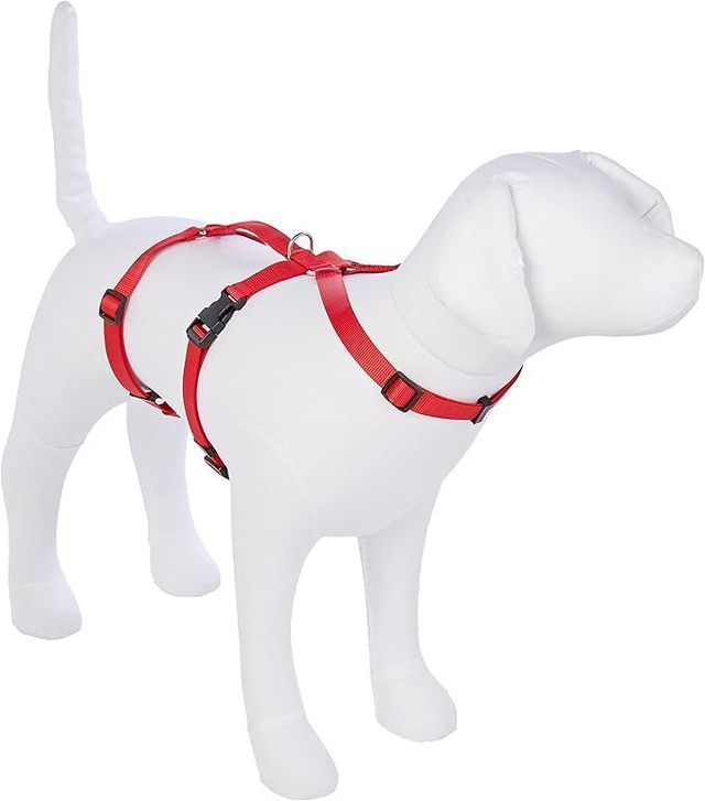 Arnés Perro Nylon - Azul