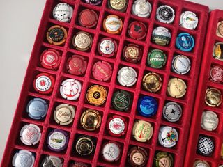 100 PLACAS DE CAVA DIFERENTES LOTE 26