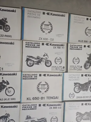 Manuale Kawasaki Piezas Recambio A 16 euros unidad