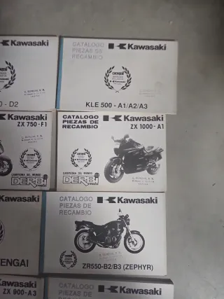 Manuale Kawasaki Piezas Recambio A 16 euros unidad