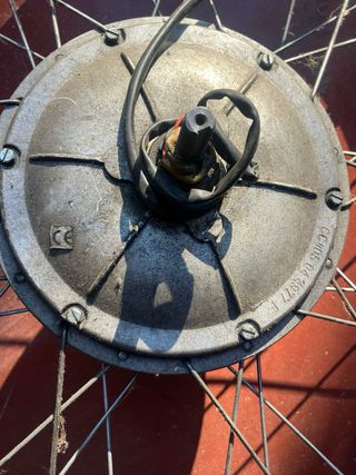 Ruota Motore Elettrica diametro 24”