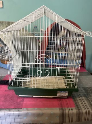 Gabbia per uccelli bianca e verde