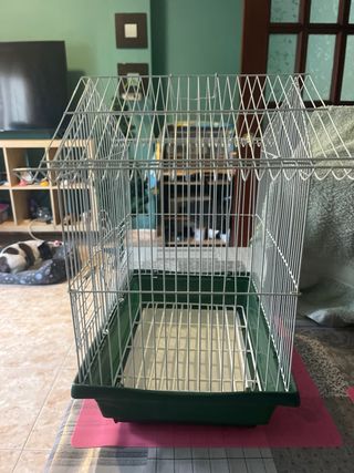 Gabbia per uccelli bianca e verde