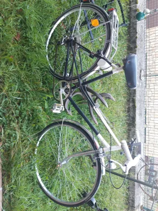 Bicicleta Clásica Adulto Paseo