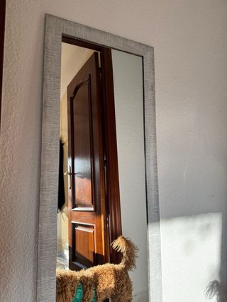 Specchio con Cornice in Legno Grigio