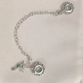 Charm seguridad pájaro carpintero plata y verde