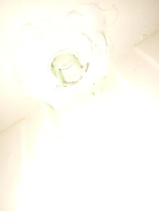 Nevera Igloo Marine 36