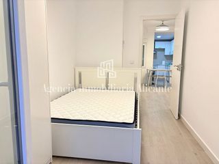 Piso en alquiler en Carolinas Bajas en Alicante