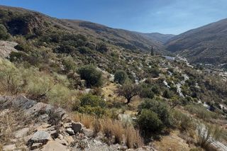 Terreno en venta en Torvizcón