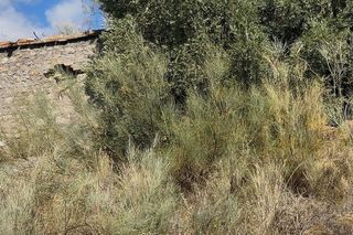 Terreno en venta en Torvizcón