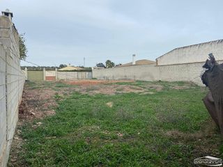 Terreno en venta en Cabra
